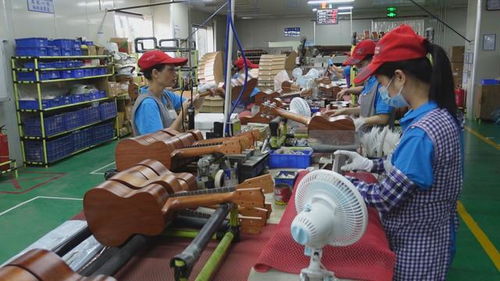 他，在南靖建起全球尤克里里單項產品產值最大工廠