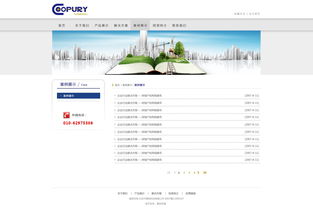 北京網(wǎng)站建設(shè) 原創(chuàng)先鋒，案例引領(lǐng)未來